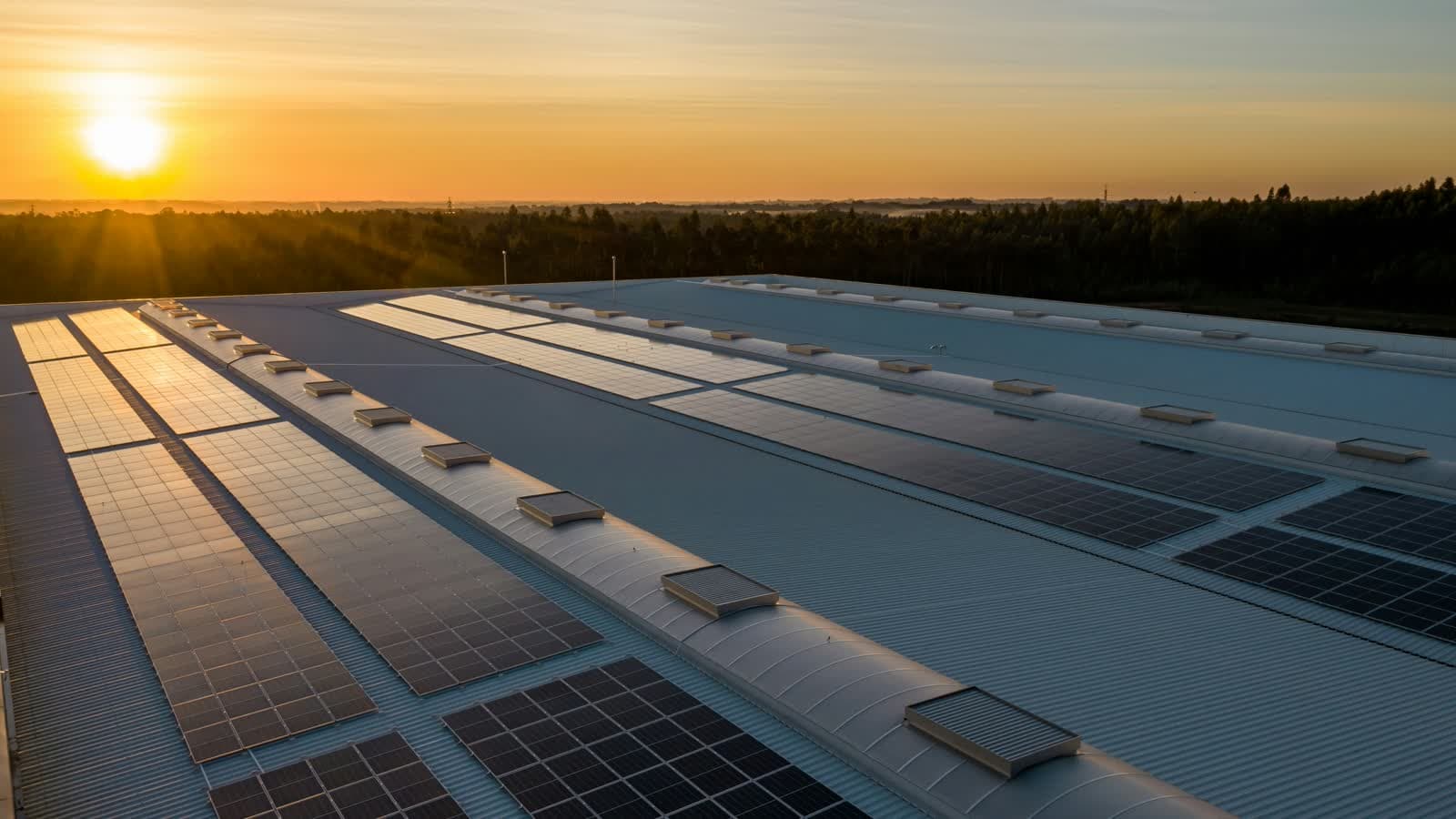 Nederlandse rijtjeshuizen met zonnepanelen op het dak